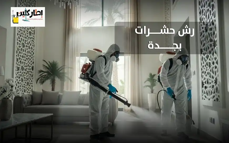 شركة رش حشرات بجدة